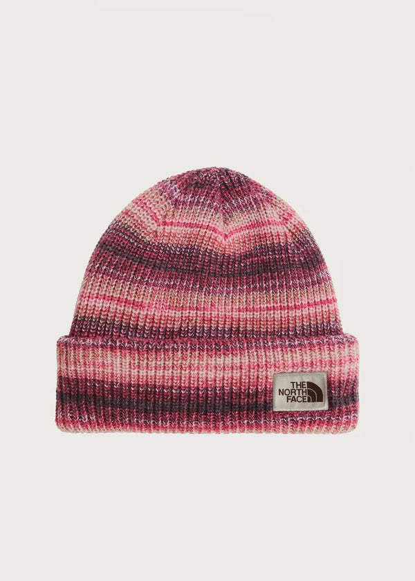 THE NORTH FACE Salty Bae Lined Beanie