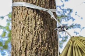 ENO Helios Straps for Hammock