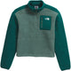 THE NORTH FACE Women's Yumiori  Fleece 1/4 Zip (Cropped)