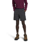 THE NORTH FACE Men's Paramount Shorts