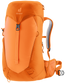 DEUTER Women's AC Lite 22L SL Day Pack