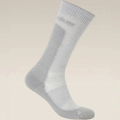 ICEBREAKER Men's Hike+ Medium Crew Sock