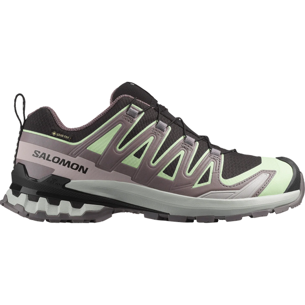 SALOMON Women's XA PRO 3D V9 Gore-tex® Shoe