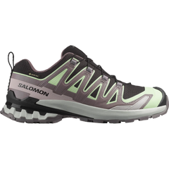 SALOMON Women's XA PRO 3D V9 Gore-tex® Shoe