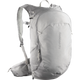 SALOMON Trailblazer 20L Day Pack