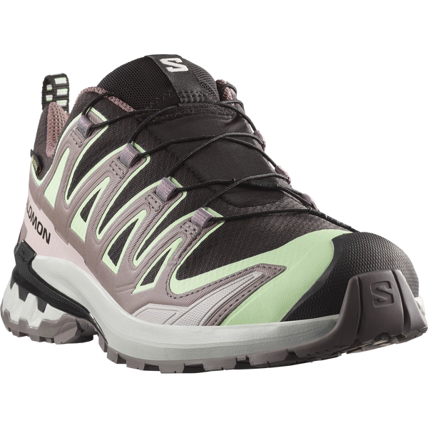 SALOMON Women's XA PRO 3D V9 Gore-tex® Shoe