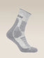 ICEBREAKER Men's Hike+ Heavy Crew Sock