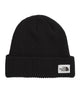 THE NORTH FACE Salty Bae Lined Beanie