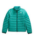 THE NORTH FACE Women’s Terra Peak Insulated Jacket