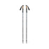BLACK DIAMOND Trail Vista FLZ Trekking Poles (Pair)