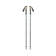 BLACK DIAMOND Trail Vista FLZ Trekking Poles (Pair)