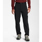 THE NORTH FACE Men's Paramount Pro Pants Large